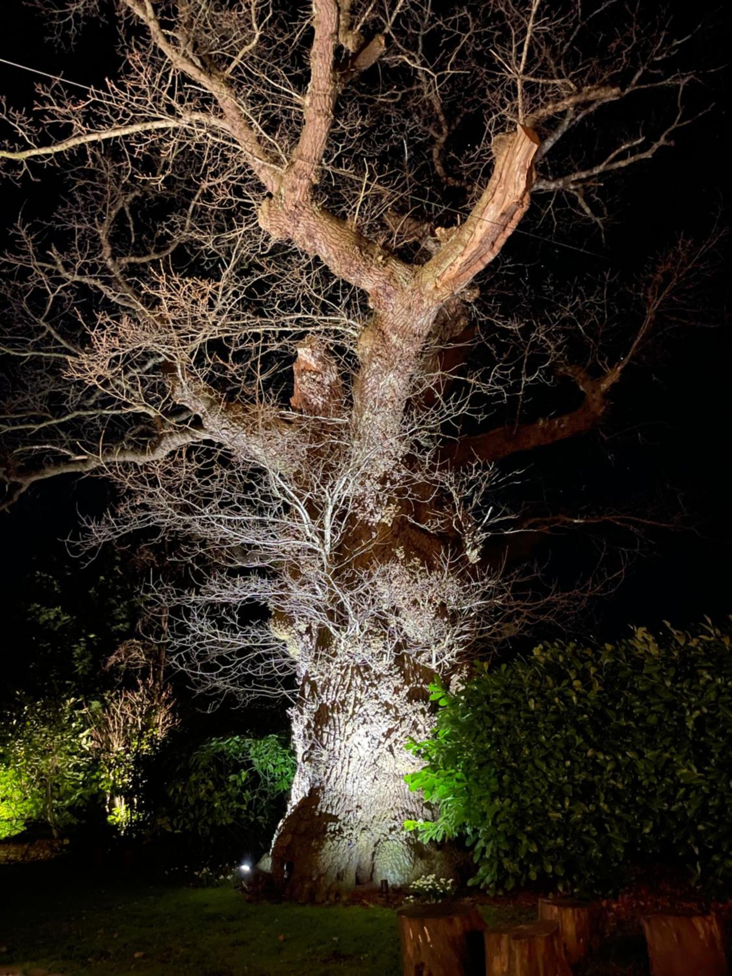 위트처치 Oak Tree Hideaway 빌라 외부 사진